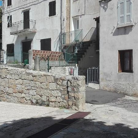 Niolu Apartment Albertacce Luaran gambar